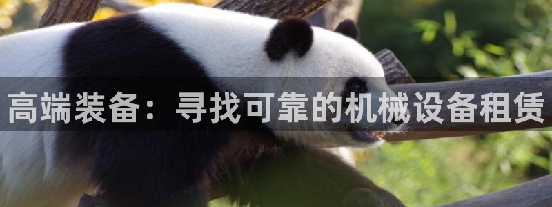 球盟会登录平台