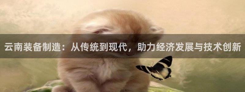 球盟会可以提现么