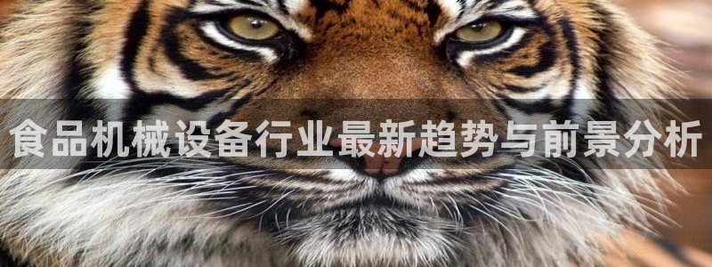 球盟会综合体育平台怎么样