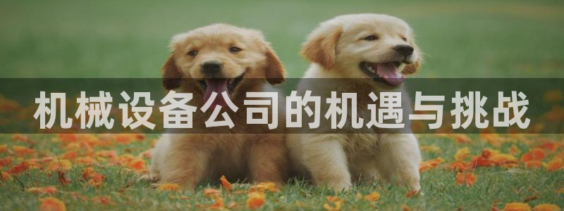 球盟会(中国)官方网站