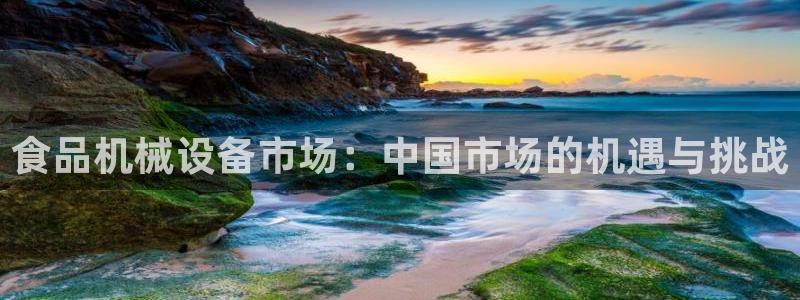 球盟会头号玩家是谁