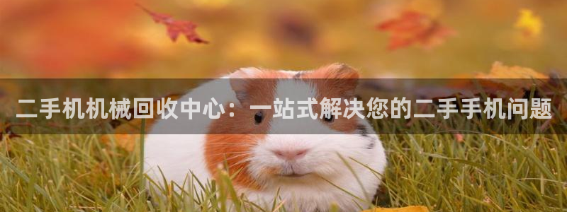 球盟会娱乐平台