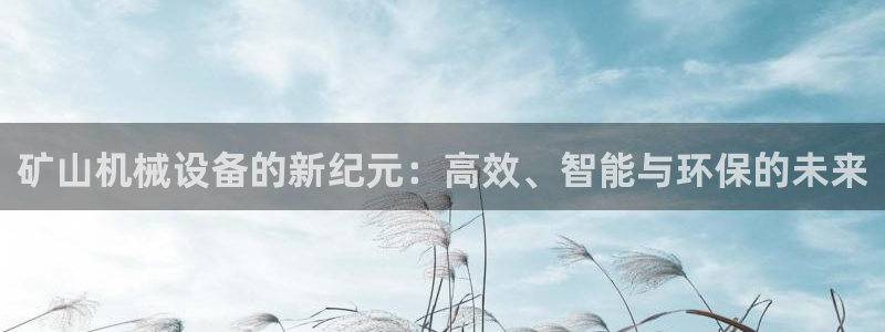 球盟会进不去球员吗