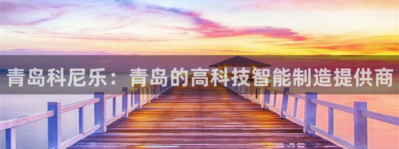 球盟会可以提现么现在