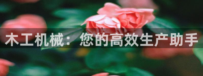 球盟会下载最新版