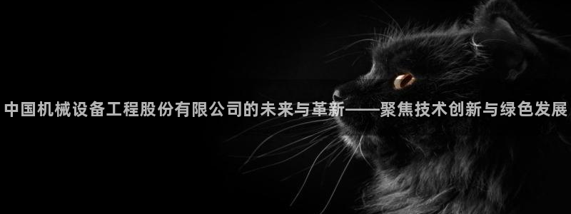 球盟会可以提现么现在