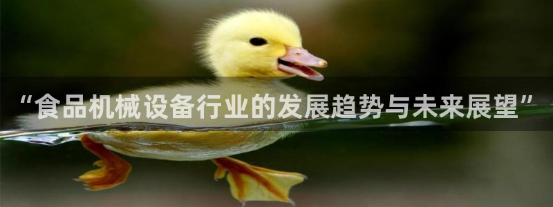 球盟会有限公司怎么样