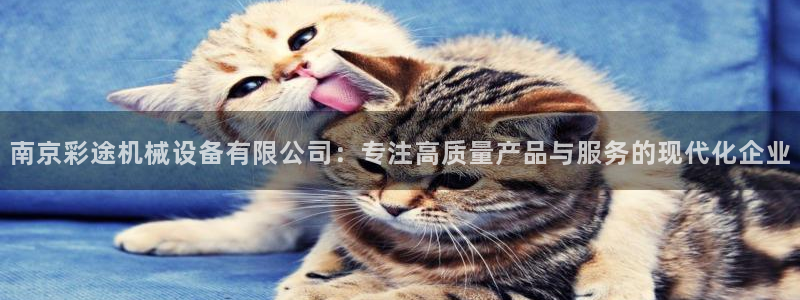 球盟会APP官网