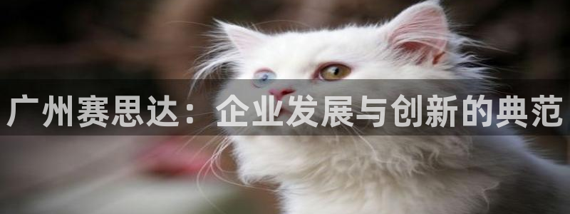 球盟会官方版下载地址