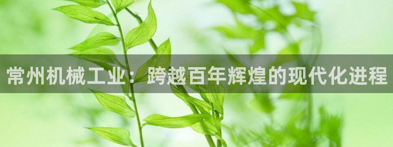 球盟会app入口