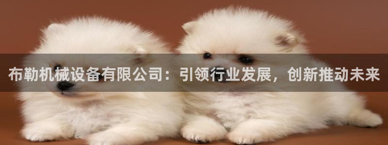 球盟会黑台子吗