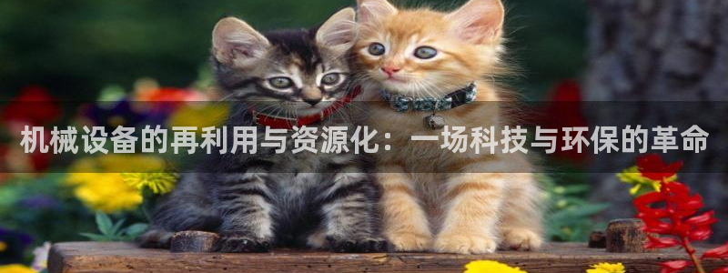 球盟会官方网站是什么