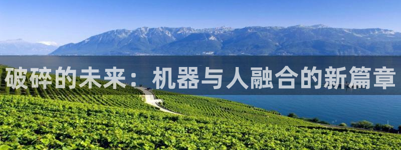 球盟会在线官网