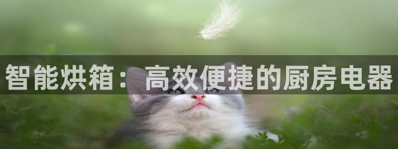 球盟会贴吧
