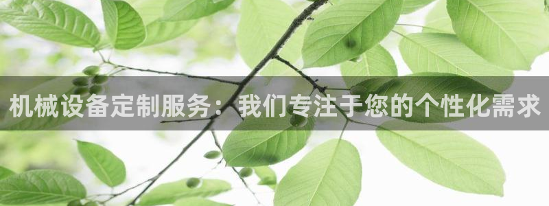 球盟会综合app下载