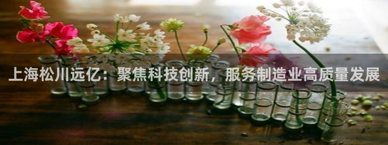 球盟会最新活动
