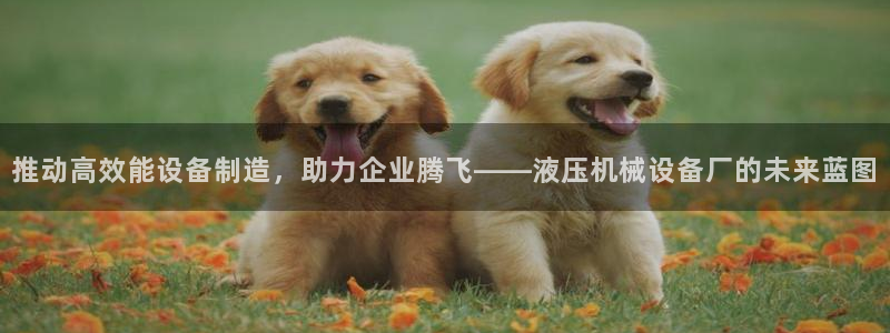 球盟会头号玩家