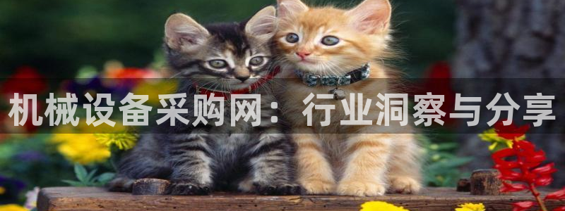 球盟会官网网页版