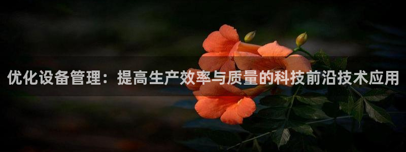 球盟会可以提现么