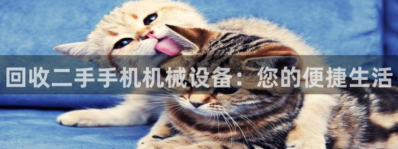 球盟会体育app官方网站