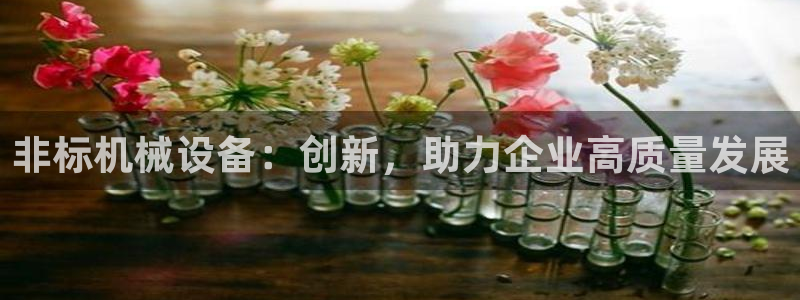 球盟会网址多少
