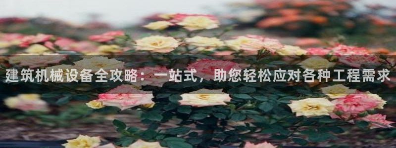 球盟会app入口