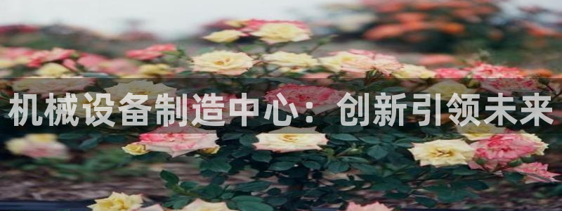 球盟会唯一