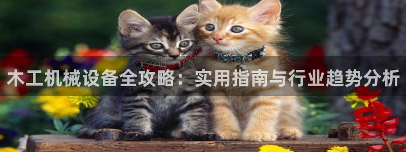 球盟会中国官方网站