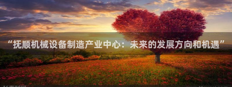 球盟会进不去球员吗