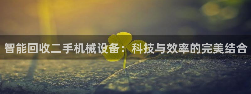 球盟会游戏几点玩合适