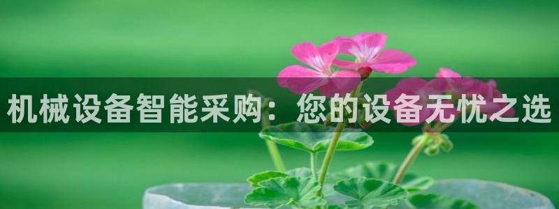 球盟会进不去球员吗