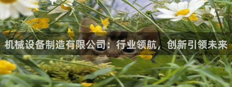 球盟会APP最新地址