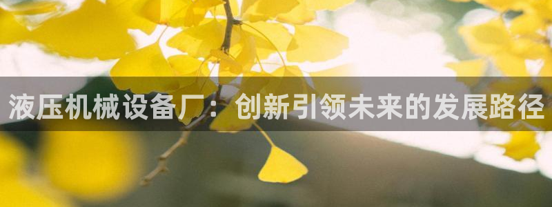 球盟会里面有打牌的嘛是真的吗