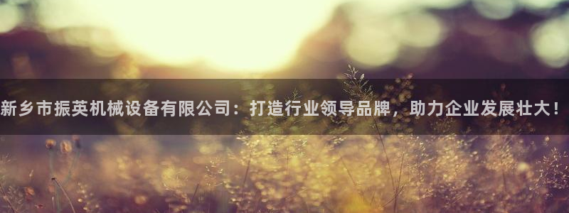 球盟会在线官网