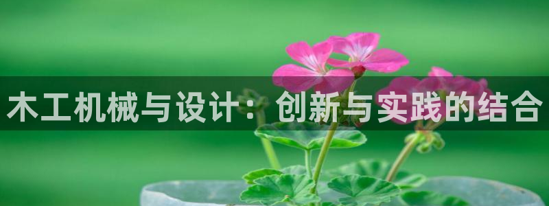 球盟会app网址多少号