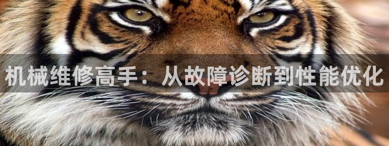 球盟会qmh - 球盟会官方网站