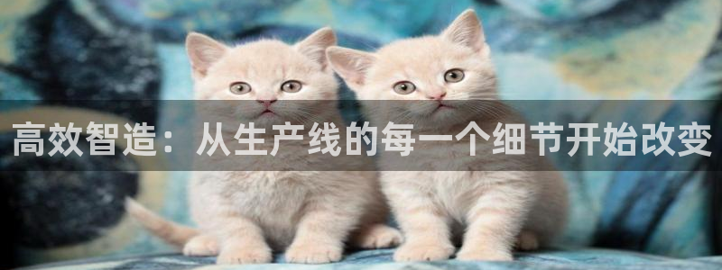 球盟会进不去球员吗