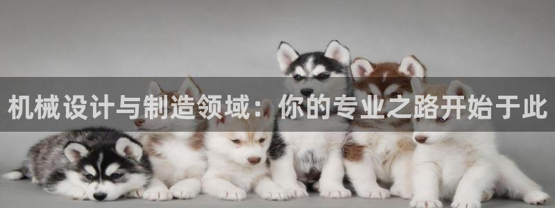 球盟会黑款吗知乎